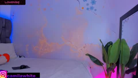Snapshot of camilawhite_ chatting on February 17, 7:55 pm MARIA CAMILA online show from February 17, 7:55 pm