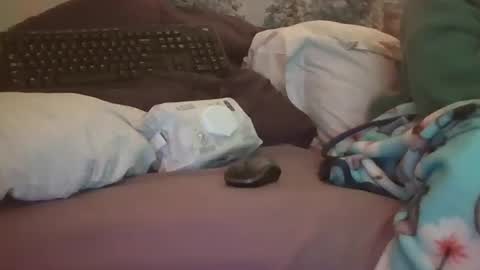 Candi online show from February 3, 6:40 am