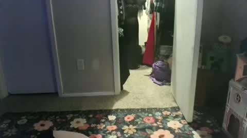 careerwife online show from April 17, 2:35 am