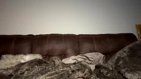 Carmen Savage online show from January 10, 7:35 am