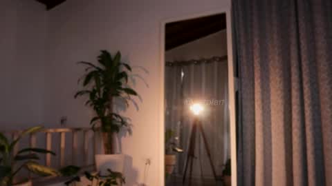 carolart online show from February 19, 9:03 pm