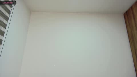 Char online show from January 25, 3:40 am