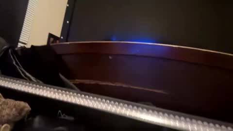 casidy1 online show from January 8, 9:10 am