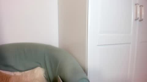 cassiecute - onlyfans account online show from February 10, 8:31 pm