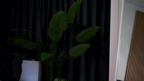 Snapshot of cataleyasyrene chatting on September 14, 7:45 pm Cataleya online show from September 14, 7:45 pm