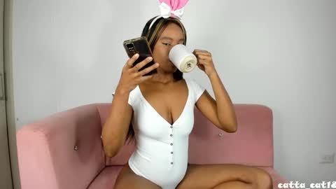 catta cat18 online show from November 15, 10:22 pm