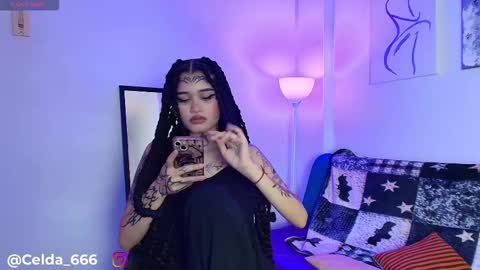 Zelda online show from February 14, 3:41 am