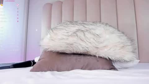 Charlotte online show from November 18, 2:51 pm