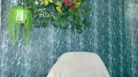 cherry online show from January 10, 2:38 am