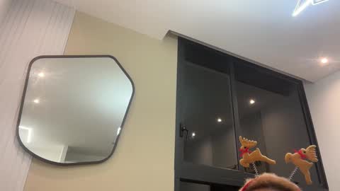 ChocolateCakeQueen online show from December 9, 12:12 am