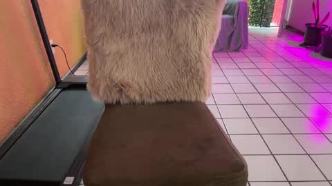 christianvalles online show from March 11, 9:48 pm