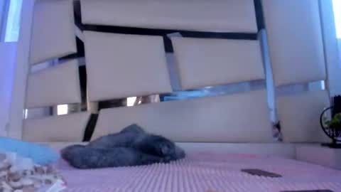 instagram chrystaljade.1 online show from December 2, 1:13 pm