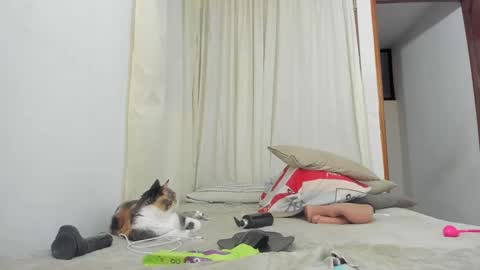 Snapshot of clarise_cooper chatting on September 13, 10:45 am clarise_cooper online show from September 13, 10:45 am