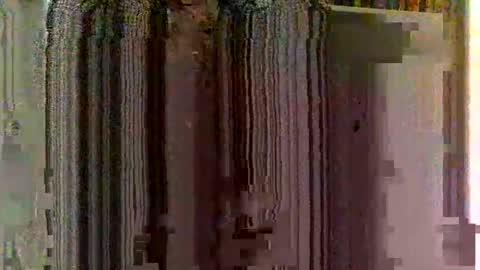 colliecumdump12 online show from December 2, 4:25 am