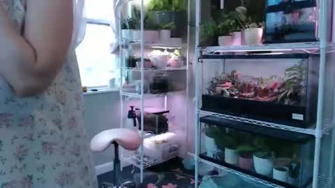 ANR Mommy online show from December 21, 4:22 pm