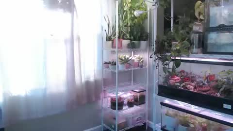 ANR Mommy online show from December 1, 7:27 pm