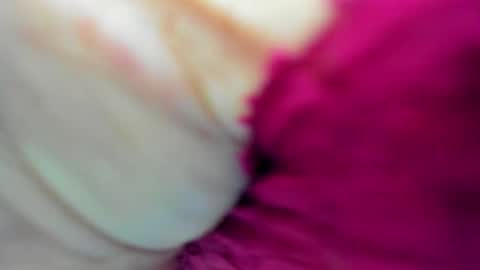 Snapshot of couple_megan_and_jhon2 chatting on September 16, 9:56 pm couple_megan_and_jhon2 online show from September 16, 9:56 pm