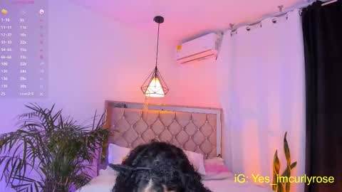 Rose online show from October 12, 12:46 am