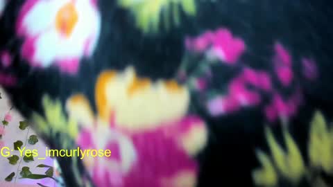 Rose online show from January 16, 8:25 pm