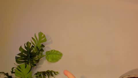 Snapshot of cute_ebonny chatting on January 22, 3:31 am Stacy online show from January 22, 3:31 am