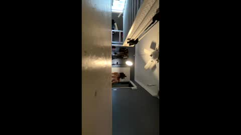 loveolots online show from January 11, 2:36 pm