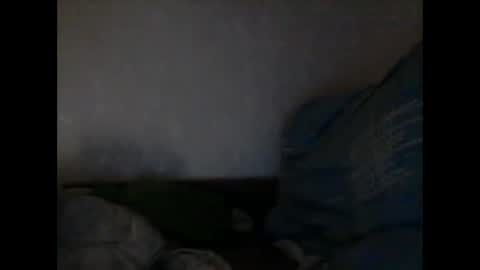 Snapshot of cutekattie chatting on January 7, 2:53 am cutekattie online show from January 7, 2:53 am