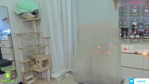 Daisy online show from February 4, 9:12 am