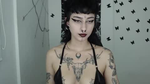 dakota online show from February 16, 1:38 am