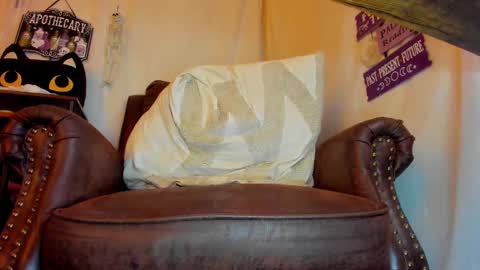 Snapshot of danidollxxx chatting on October 9, 3:54 am danidollxxx online show from October 9, 3:54 am