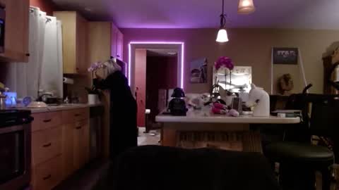 DanikaWhite69 online show from October 21, 9:46 am