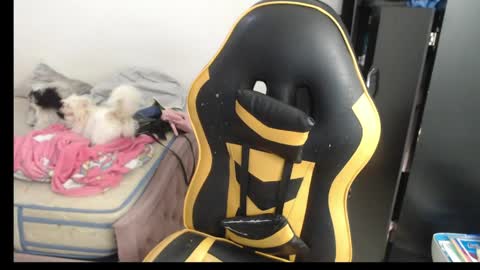 danny..........  guys I have onlyfans follow me I am new I want to share with you many things I love you online show from April 16, 5:56 pm