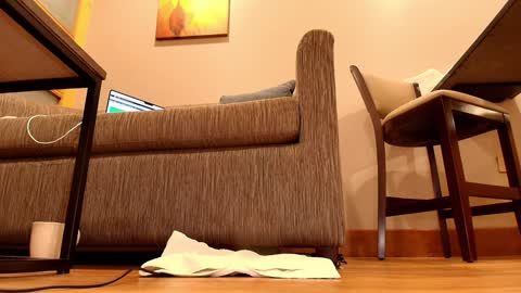 Dayanna Sweet online show from January 22, 3:31 am