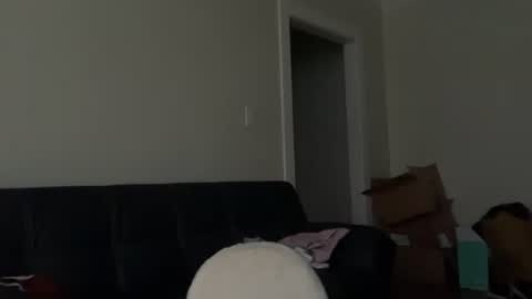 delightfuldark online show from December 13, 7:53 pm