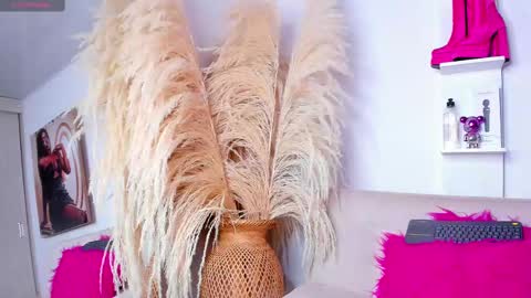   online show from February 25, 2:48 pm