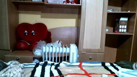 Snapshot of dennisxcarol chatting on January 6, 6:52 pm DennisXCarol online show from January 6, 6:52 pm