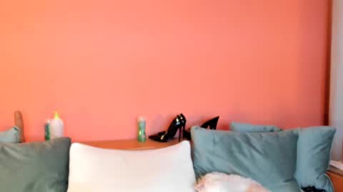 Snapshot of dirtybeya chatting on February 16, 7:05 pm Dirtybeya online show from February 16, 7:05 pm