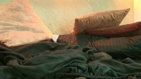 Snapshot of dixie_grey1 chatting on September 12, 5:31 pm Sofia online show from September 12, 5:31 pm