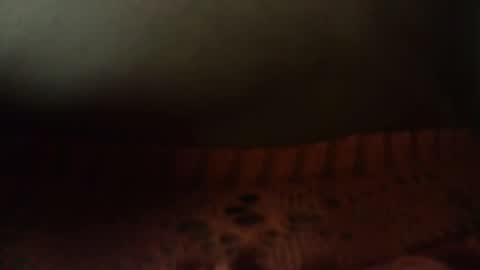 doll78latin online show from February 7, 2:40 am