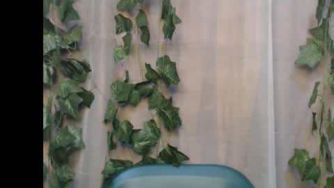 Snapshot of dripqueenx chatting on September 9, 1:33 pm linda online show from September 9, 1:33 pm