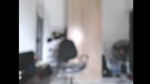 ella online show from March 4, 11:28 am