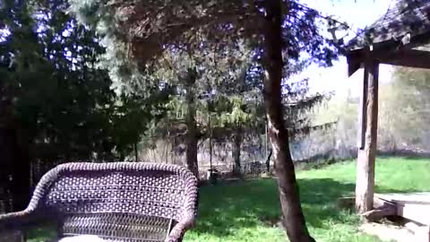 Elliohh online show from May 4, 8:12 pm
