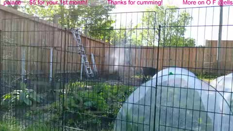 Ella Bella Bo Bella online show from June 1, 1:35 pm