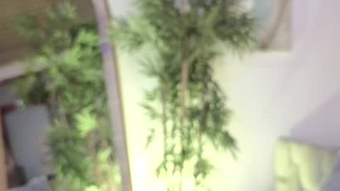 Eloise  . online show from July 17, 10:02 pm