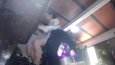 Eskela911 online show from February 26, 4:49 pm