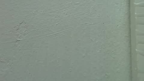 Snapshot of estrella_hanks_ chatting on February 15, 11:50 am Estrella online show from February 15, 11:50 am