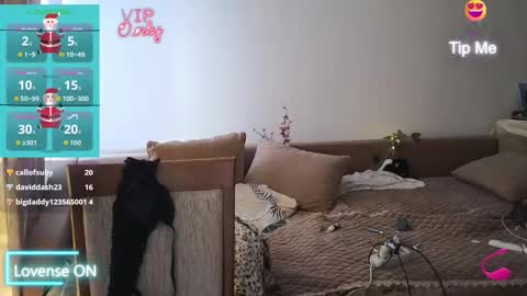 Eva online show from January 10, 7:24 am