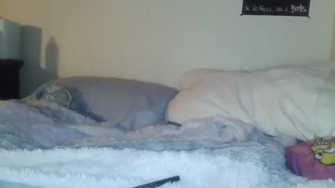 evangeline69xxx online show from February 20, 5:28 am