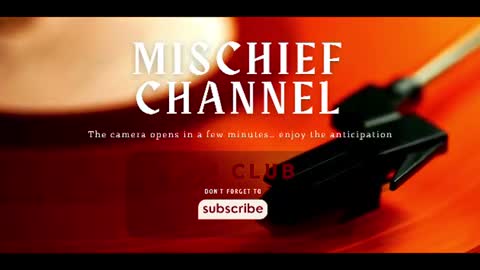 Im Eve or Chelle Next Stream 191224  online show from July 29, 3:45 pm