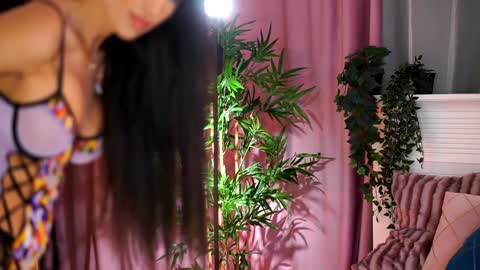 Snapshot of evelyn_evyy chatting on January 13, 8:04 pm Evelyn online show from January 13, 8:04 pm