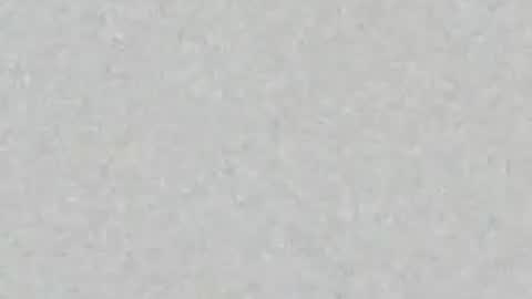 even_scoty online show from August 6, 12:45 pm